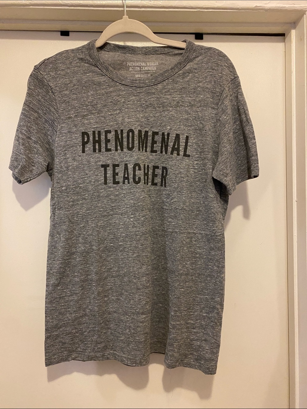 Phenomenal Teacher Short Sleeve Tee - Gray